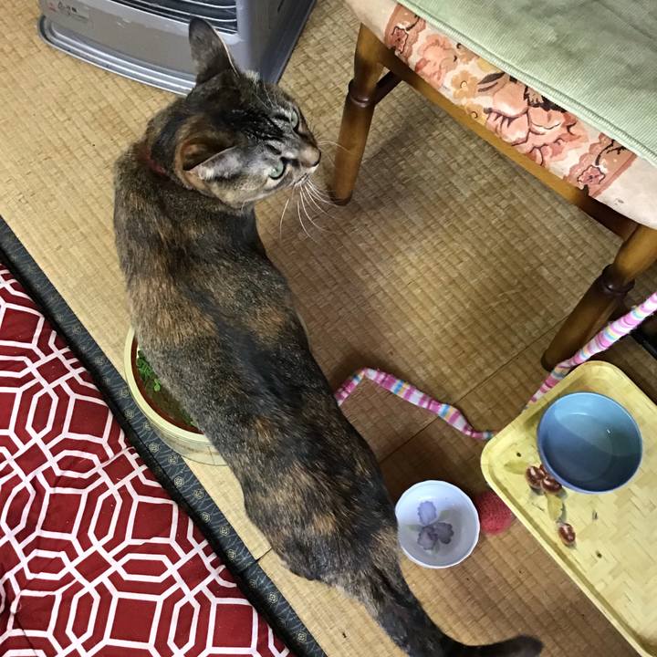 624b3081 7c00 44bb ac0b 5eb8f2bf3b62 1638668715536