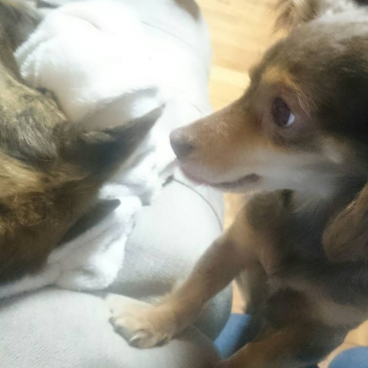 624b4e06 f032 4d44 8f4b 657784efc942 1519643734269