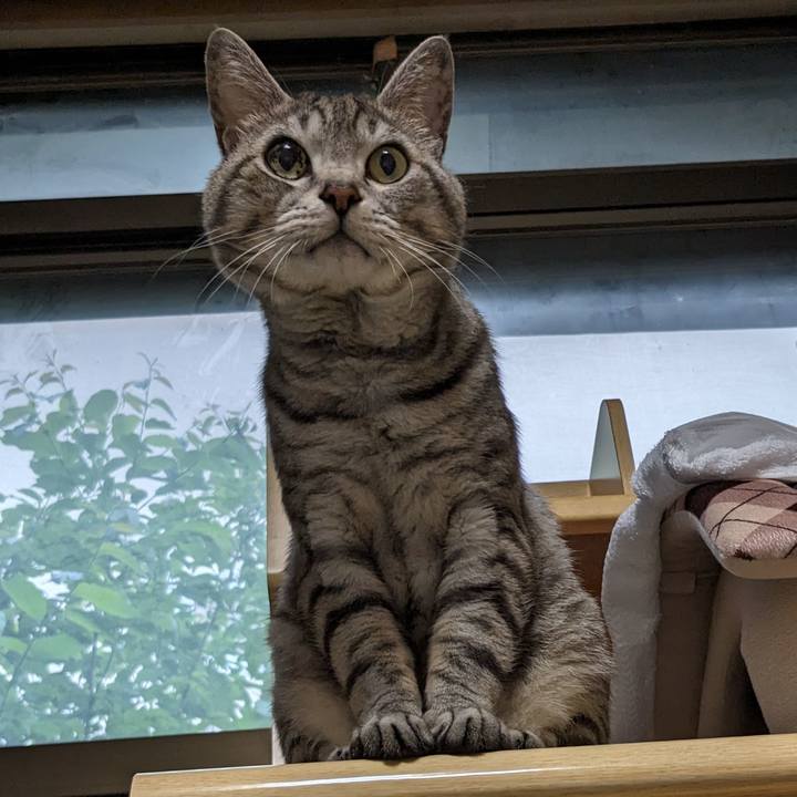 624b8b3c c8b0 4f51 ad46 8434967ba68c 1718097647159