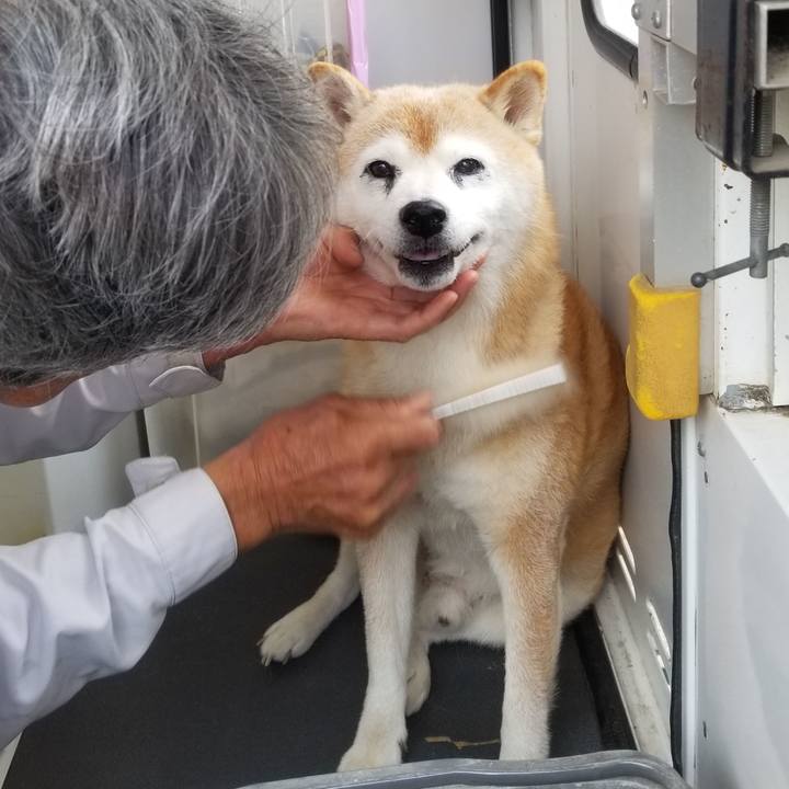 624b9ab1 37eb 4fa2 bd72 ecb02f563258 1727311389132