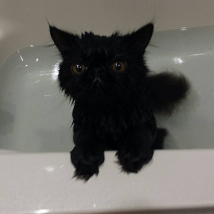 624bcc40 4e47 49ca 83ae 9a23994a2b08 1511049077232