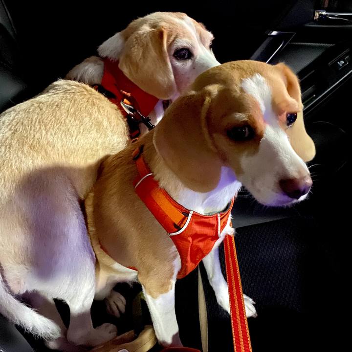 624c01fb 312b 41bc aac9 ec35faec5b3f 1599301721818