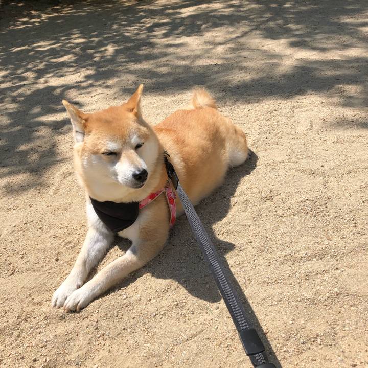 624c5f59 23f4 4415 86ba 08d9abe5c0a4 1558045399397