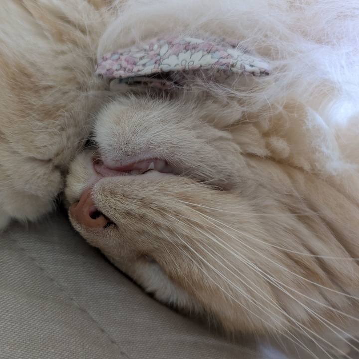 624c7135 662f 4282 86d0 5ada25aaf727 1751590213476