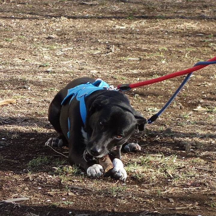 624cc226 0644 4618 aa91 71a73bf77dee 1614732189541