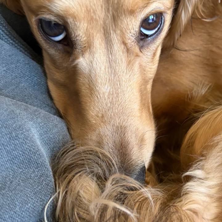 624cdd01 17c7 4fd9 8aa0 d7f306ebcbbf 1772000294798