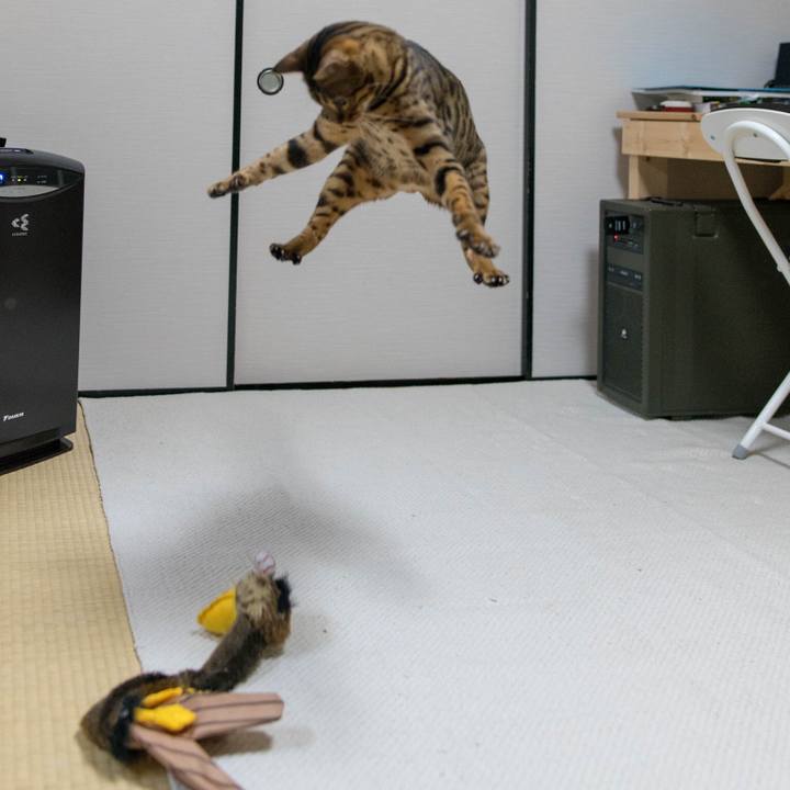 624cea0f 172b 471d b613 db1a8684f481 1518101789035