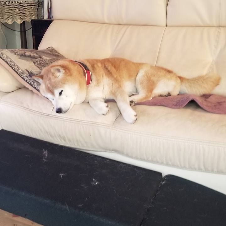 624d0f33 6d91 42d4 acba d7da1471ddf3 1750982207771