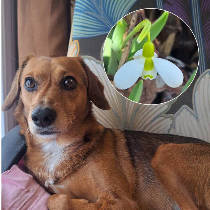 624d1c0e 8f90 41e2 ba49 53473e6f3766 1773175540551