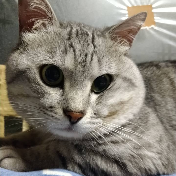 624d295d 25e1 4290 a57e cf1640c6fedc 1691072503391