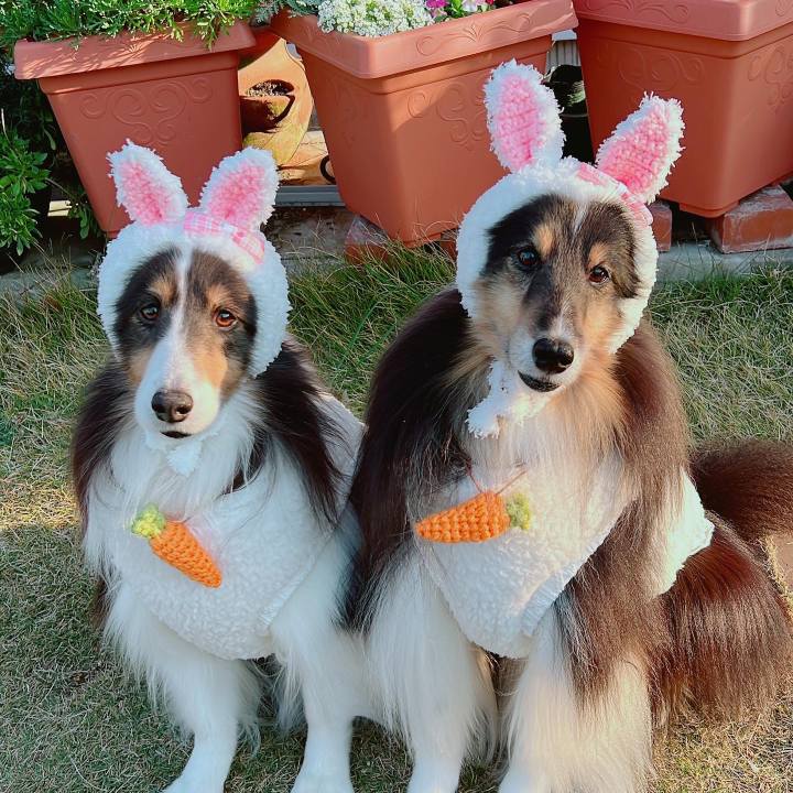 624d2f40 974e 4639 ad58 bfa95c4ff7b1 1671216257414