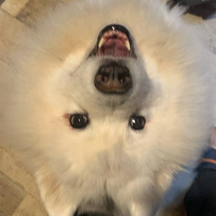 624d2fcd b4a9 4a91 a654 2d5eb53b987b 1696048873069