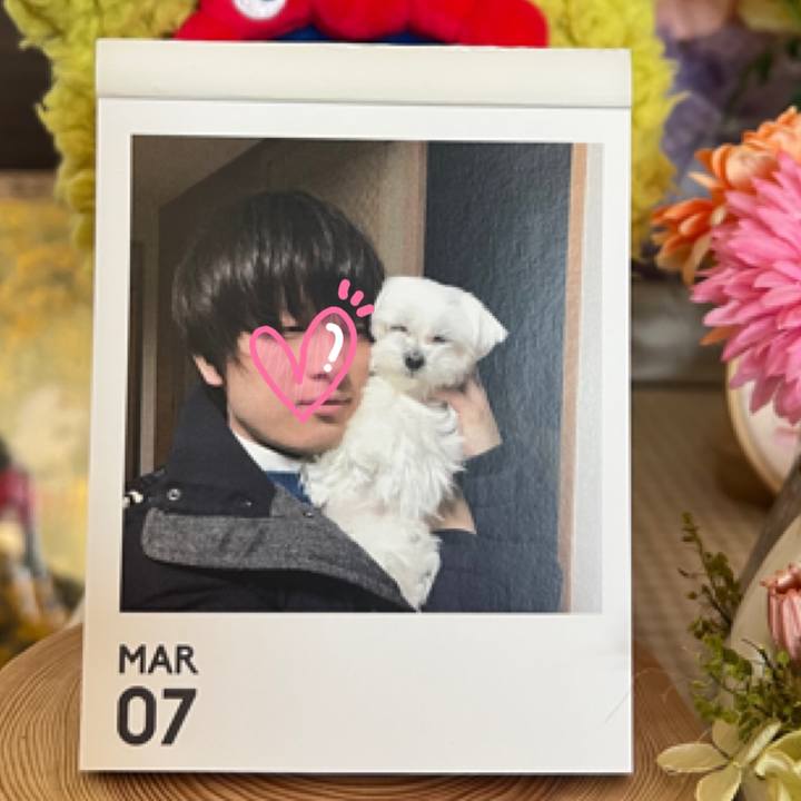 624d347e e43c 4290 9289 6a58bb88bf43 1772847458016