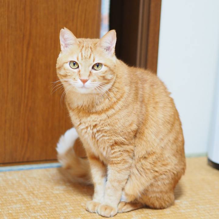 624d60fe 55cb 49f5 93b1 5db4beee18a2 1644234068290