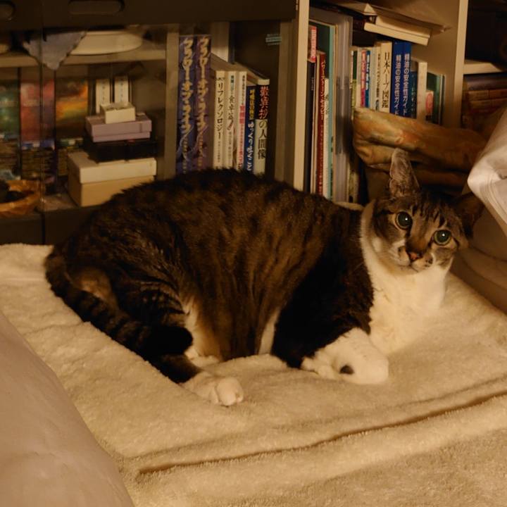 624d78e4 8e0b 4da0 ac6c b87bf198b407 1773055221405