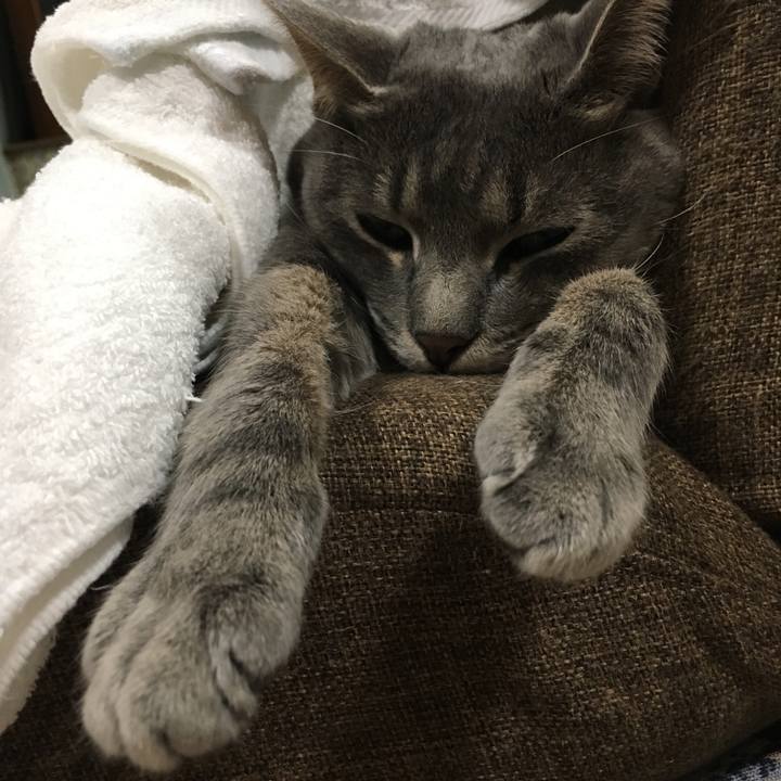 624d9cd8 0cb5 4b6f 9da0 1f603a08dfbc 1562851436801