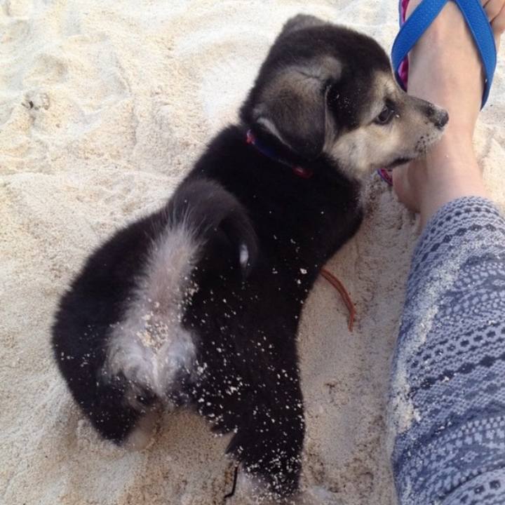 624db16c c02d 47d2 a418 66db93916bd3 1711600440452