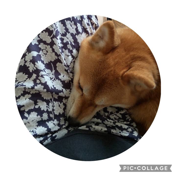 624de59c 46ab 4fcc 8c2e 1d30c1f6b50d 1719641323722