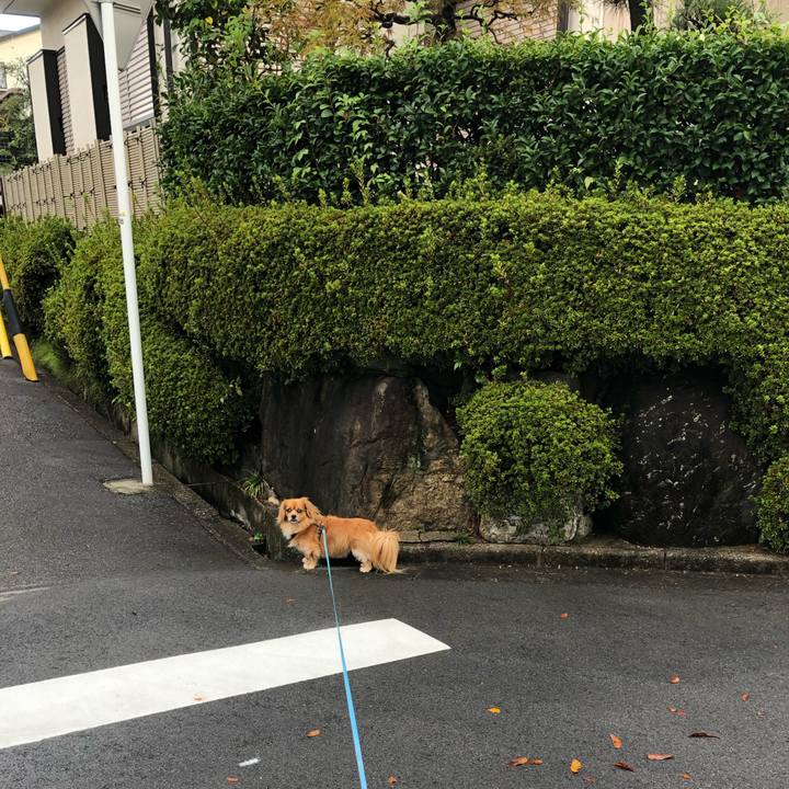 624de8d9 9404 480d 8295 1f43e9a6ffba 1571528381586