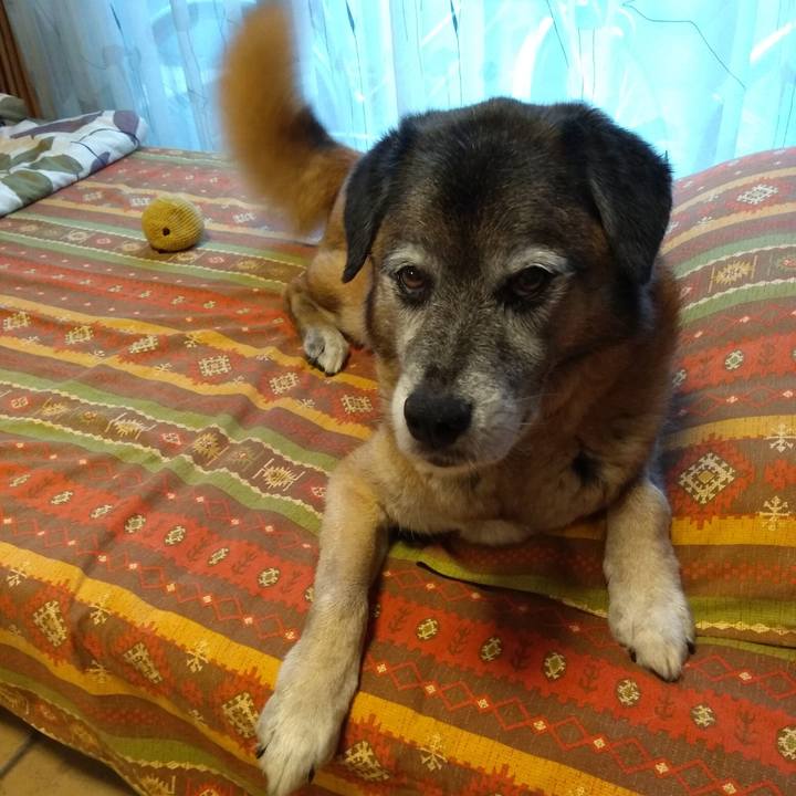 624e385e a9b7 4d7c b89f 1bdc4befa460 1561331908756