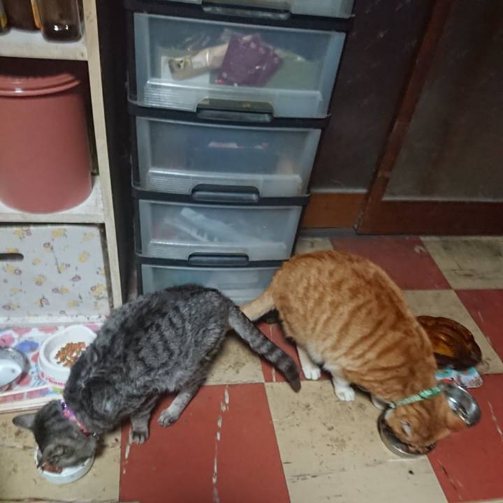 624e4fb1 e230 470b 8167 69abe752d1f6 1584608155064