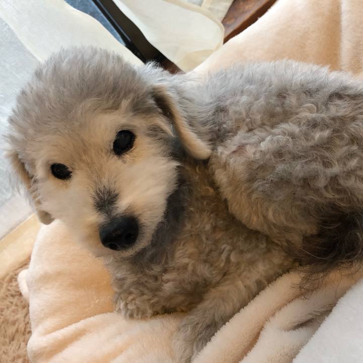 624e5eb4 5d1b 4ef2 9ee4 7595c0250a2c 1652658885882