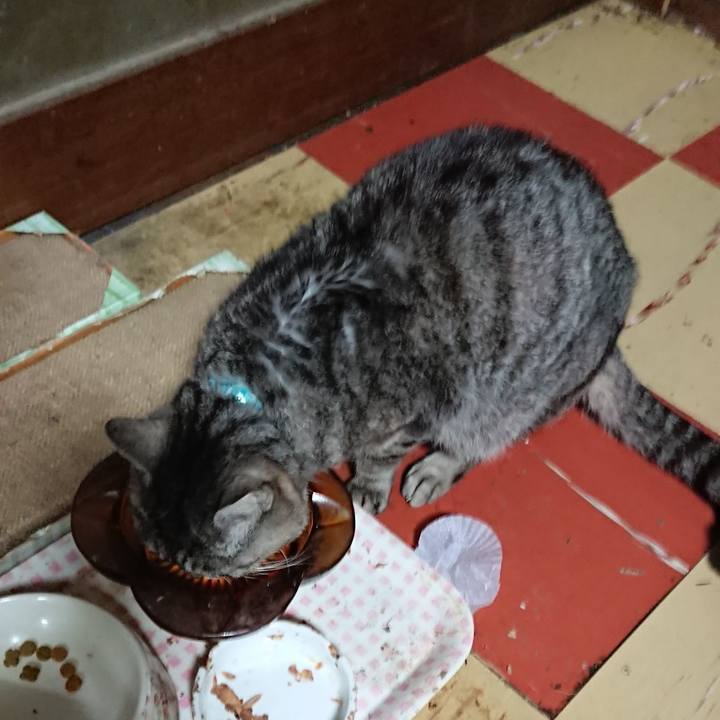 624e9fe6 8a6e 4596 b64b e146ac3cc5ba 1551268470363