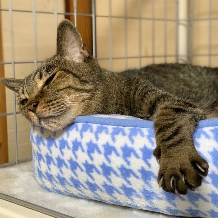 624ef5ff e47c 4ead 8362 14fcdcf9dda4 1598576817311