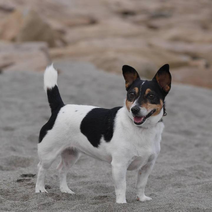 624f1f36 745a 49aa 9349 4380f190c50f 1693529878407