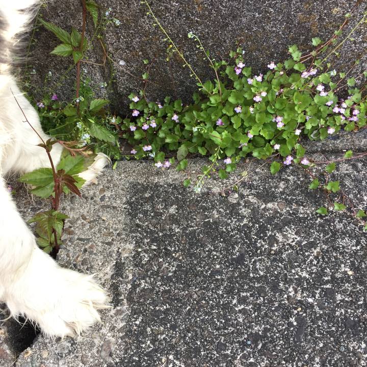 624f3a8e 8b04 4816 8ddf 36965a78c1e2 1555721448772