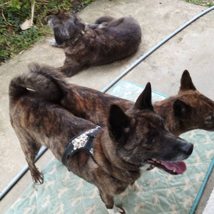 624f4359 5f58 4f5c a2c6 fc0e3eb479c2 1741443586239