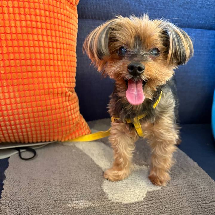 624f456d c8c0 4e81 99a2 4a0c1f2ecac3 1759907511815