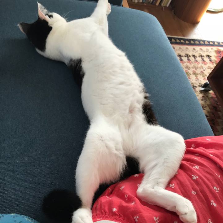 624f6768 9b2e 4cd4 b970 a8c203e2ae37 1526464070068