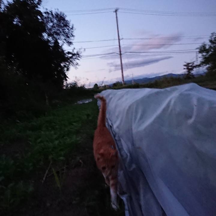 624f7b18 8966 4deb 8abc 9a092e876767 1569315839793