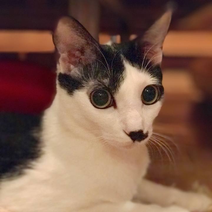 624f925c 4ae7 47dd 8101 dd6bdd77dae0 1514734854159