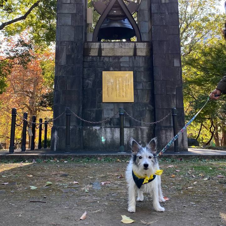 624fa031 43af 4c7e 9c84 0781a7997c09 1606564792904