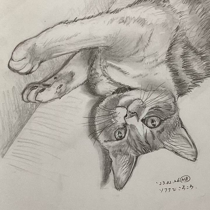 624fc7ec f6ae 41ae 9cd4 b21527171644 1677579658640