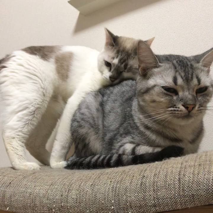 624fc892 6d69 469f 85dd d2d127304ec1 1537771848483