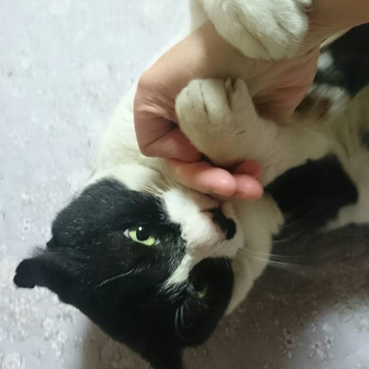 62504a39 0ca1 4516 a17b 30069baab5b7 1522794411176