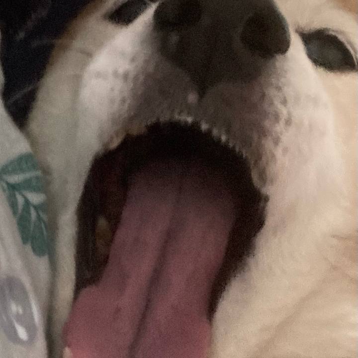 62505b63 dc65 4a37 b77b 23905191779a 1734859433635