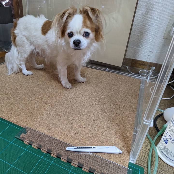 625062ce c832 4b7a b4fe 7369f36f95f9 1678521342051