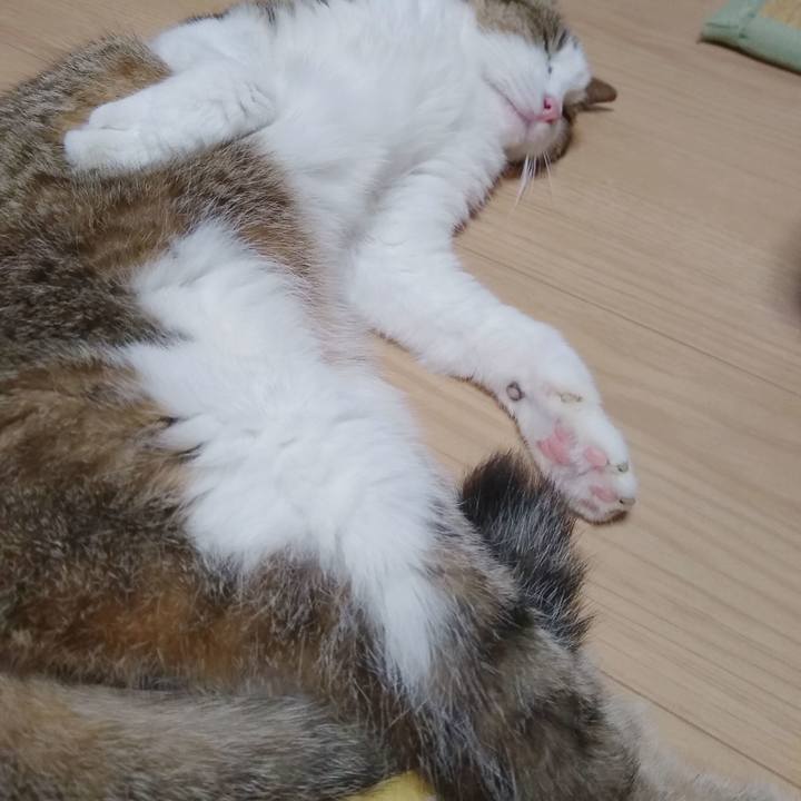 6250656a 71b0 439d a0d5 f9479e65a9c8 1570022975407