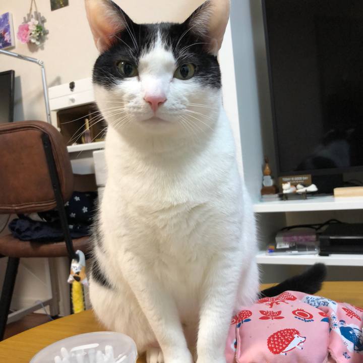 62506d55 ba22 4d6b 9e39 59178824518f 1519271675598