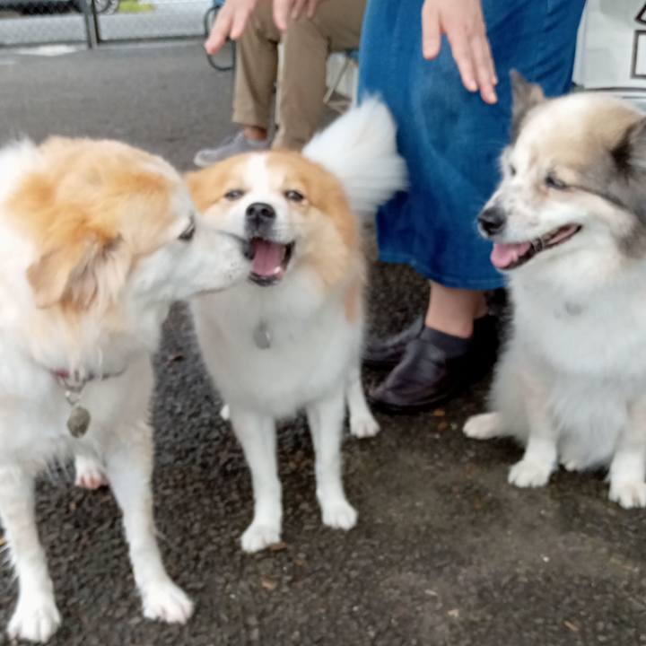 625075e2 0cc6 486a a178 7163ae14e643 1631787540860