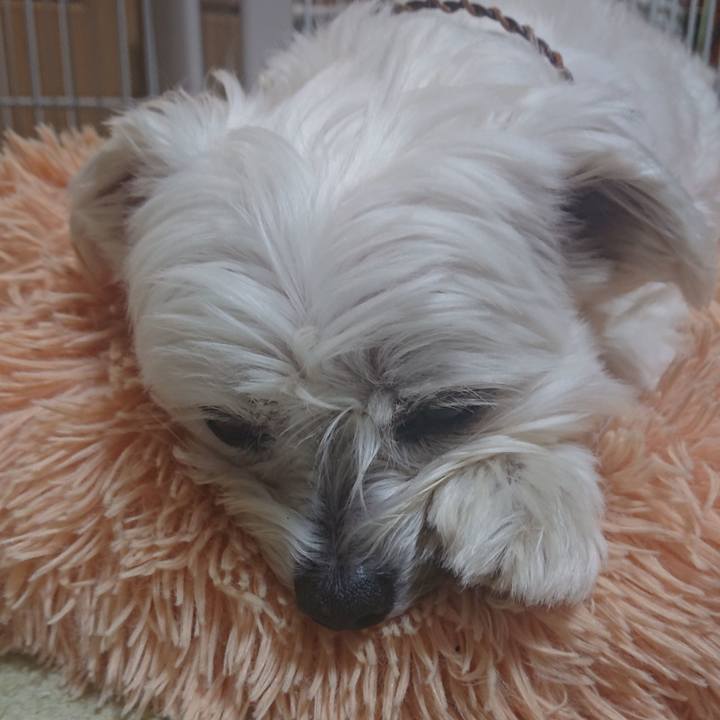 6250a896 ba86 4be3 9527 f6d37509135a 1647438405321