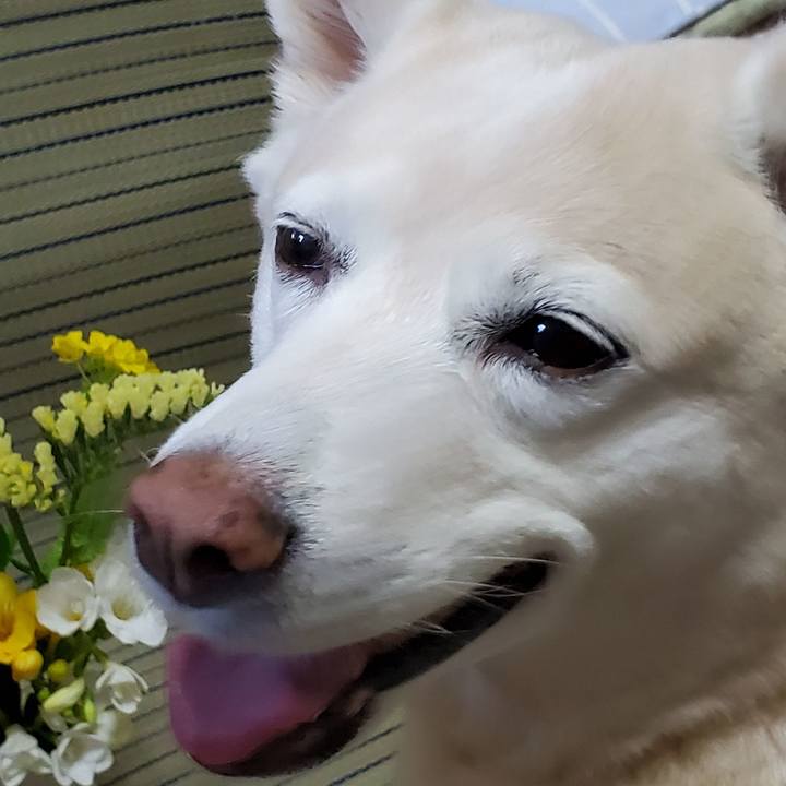 6250ba1b 9cff 41c1 b2ae 79f6a150106d 1615002682125