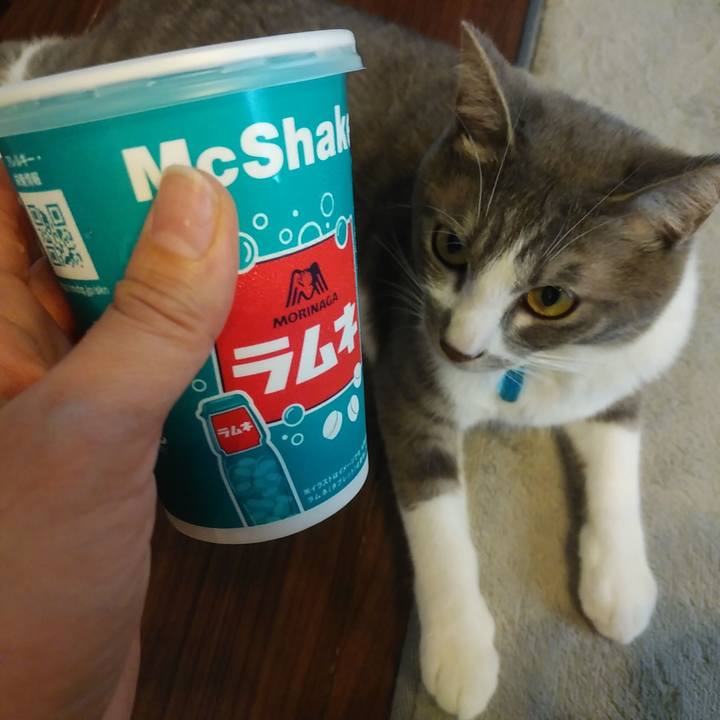 6250f3be f8db 426d 9b6f 432480879f86 1590469328598