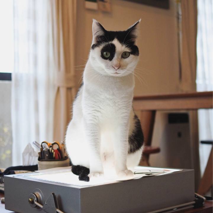 6250fd24 cb21 45b4 9e42 ede30a3b7789 1520597464141