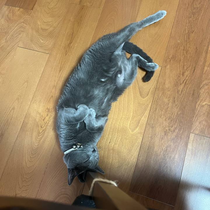 62518452 0803 4d59 945e a67029bcb010 1728195540980