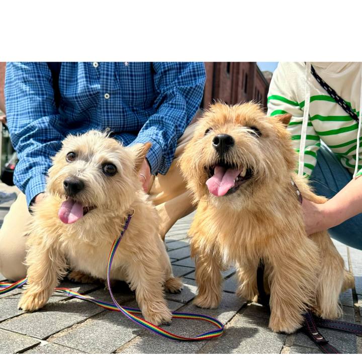 6251ad81 a60e 4628 9fc2 0bac5c7c5a0d 1745121258126